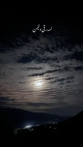 ⚜️#sheladze♥️👑_deralok_♥️sirye👑 