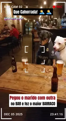 Pegou o MARIDO com OUTRA no BAR😯😯 #animaisengraçados #caozinhosnotiktok  #animiaisengraçados #comediahumor 