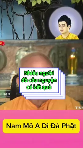 👉Dành cho ai đang bế tắt, dành cho ai hết số vẫn cầu xin dc nha .  ❌Nếu ai bệnh tật đã cầu đc cố gắng phóng sanh để tăng thêm tuổi thọ nè  #thiensuanlachanh #daophat #phatphapnhiemmau #bachhoachaynguyenoanh #viral