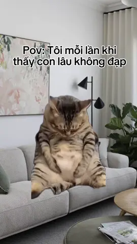 Mẹ bầu nào cũng canh con đạp cả ngày #meme #xuhuong #fyp #mebimxaykenh #mebimphieuluuky 