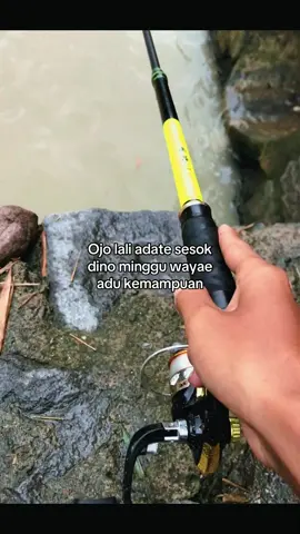 Ybba (yang berani-berani aja) #mikrofishing #mancingliar #madiun24jam #fypmancing #fyp 