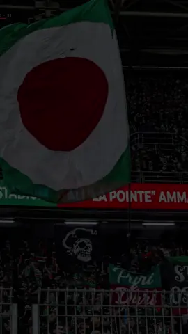 #virage_sud_mouloudeen #mouloudia_virage_sud🇮🇹 #mca #مولوديةالجزائر💚♥️ #مولودية🇧🇬🇧🇬_نعشق_فيهااا💚 