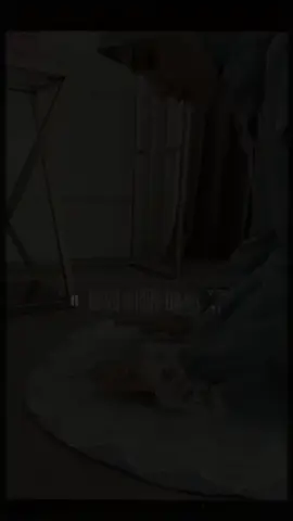 #tik_tok #💚🇩🇿💜✍️👌 #quenn👑sarah #ستوريات_متنوعه #متابعة_قلب_تعليق_مشاركة 