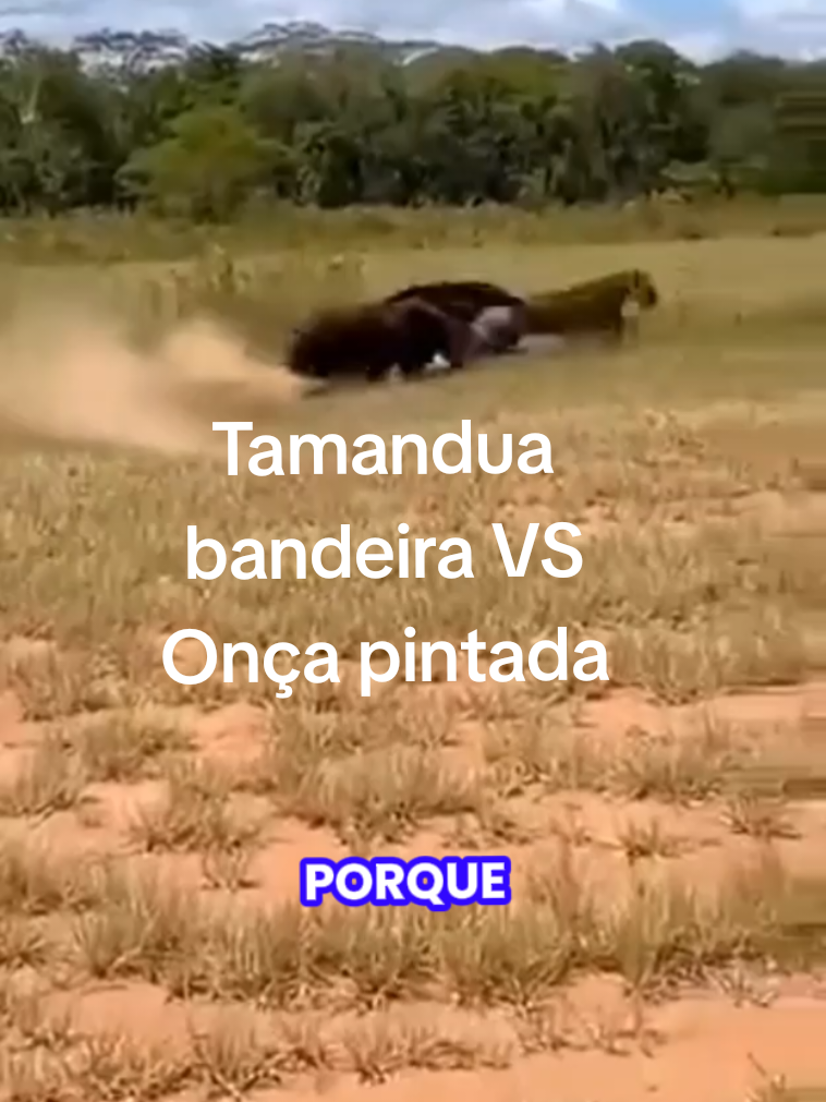 #videoviral #compare #melhorversao #viral #VozDosCriadores 