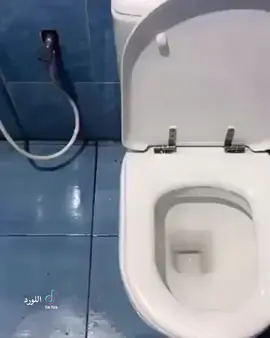 #الشعب_الصيني_ماله_حل #اكسبلور #الامارات_العربية_المتحده #دبي #الشارقة 