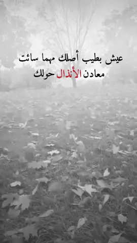 #اقتباسات من الحياة ، عيش بطيب أصلك .#كلمات_من_القلب #اكسبلورexplore #saasa88 #fypシ 