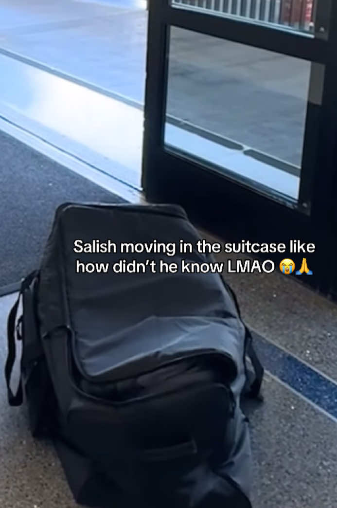 #salish #salishmatter #foryoupage #viralvideo #newvid @Jordan Matter & @Salish 