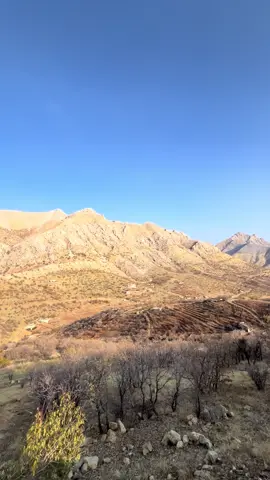 پایزیی وەتەن#💛🥹