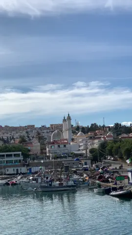 #tipaza #fyp #capcut 