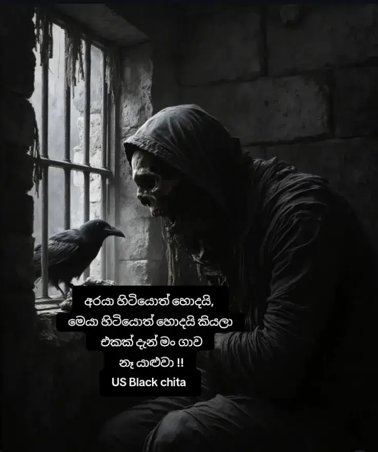 ගහන ගෙමක් තනියම තමයි ඉතින්....... ...................US Black chita ....................