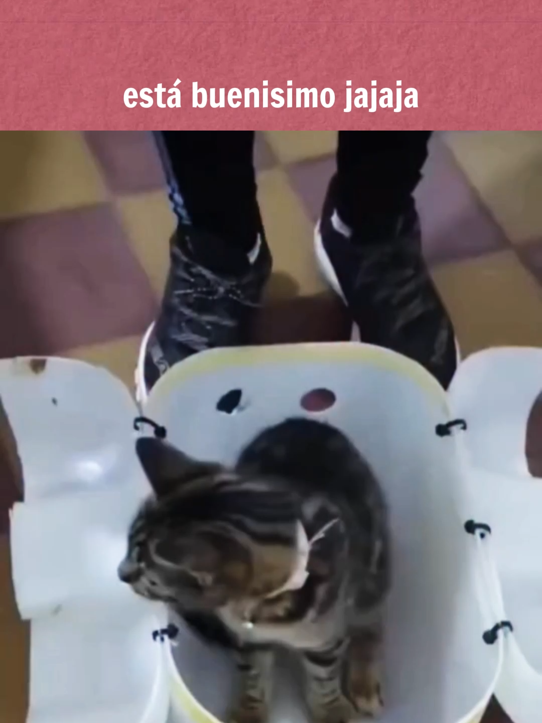 es buenisima jajajaja a