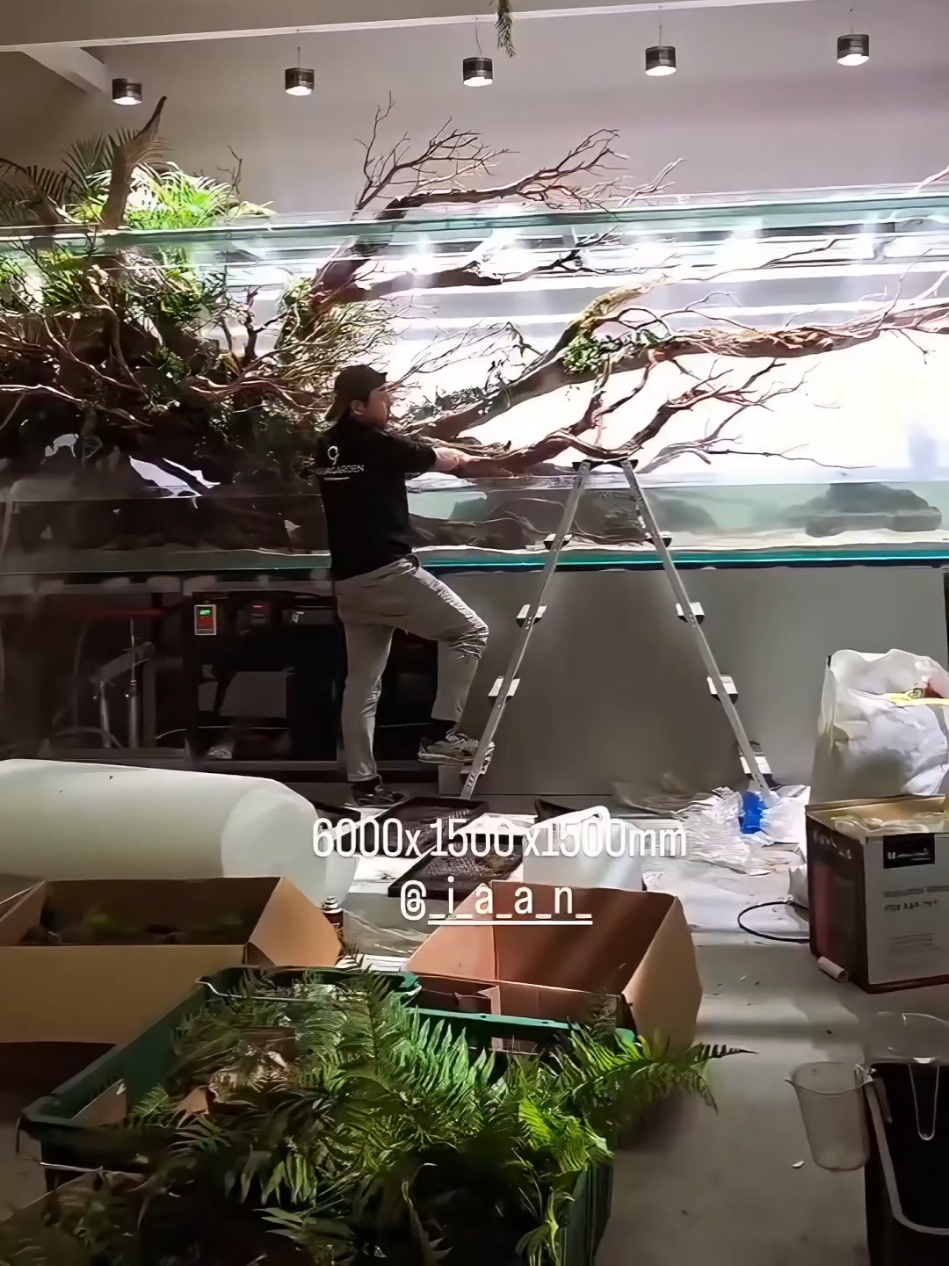 What a cool giant project 😎 by 조재선 Cho Jaesun @_i_a_a_n_ (IG) Paludarium 6000 x 1500 x 1500mm 상주 내수면 관상어 비지니스센터 @aquagarden_art (IG) #aquagarden #paludarium  #terrarium #forestarium #aquarium       