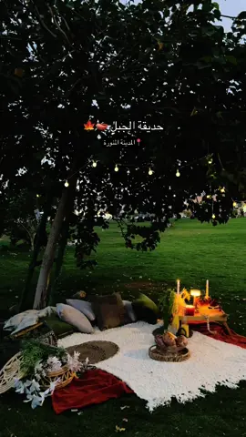 الاجواء الحلوه🍁#المدينه_المنوره #اكسبلور #explore #fyp #madinah 