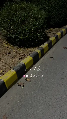 🤍🌸_^#hehe_daniii #iconiczoe #fyp #foryouu #foryoupage 