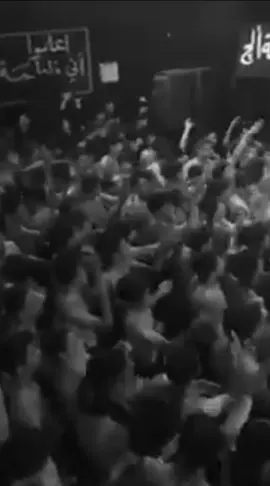 هيه كاع الله وسمائها وحيدر يصير الوريث #سيد_فاقد_الموسوي #ذكرعلي_عبادة 