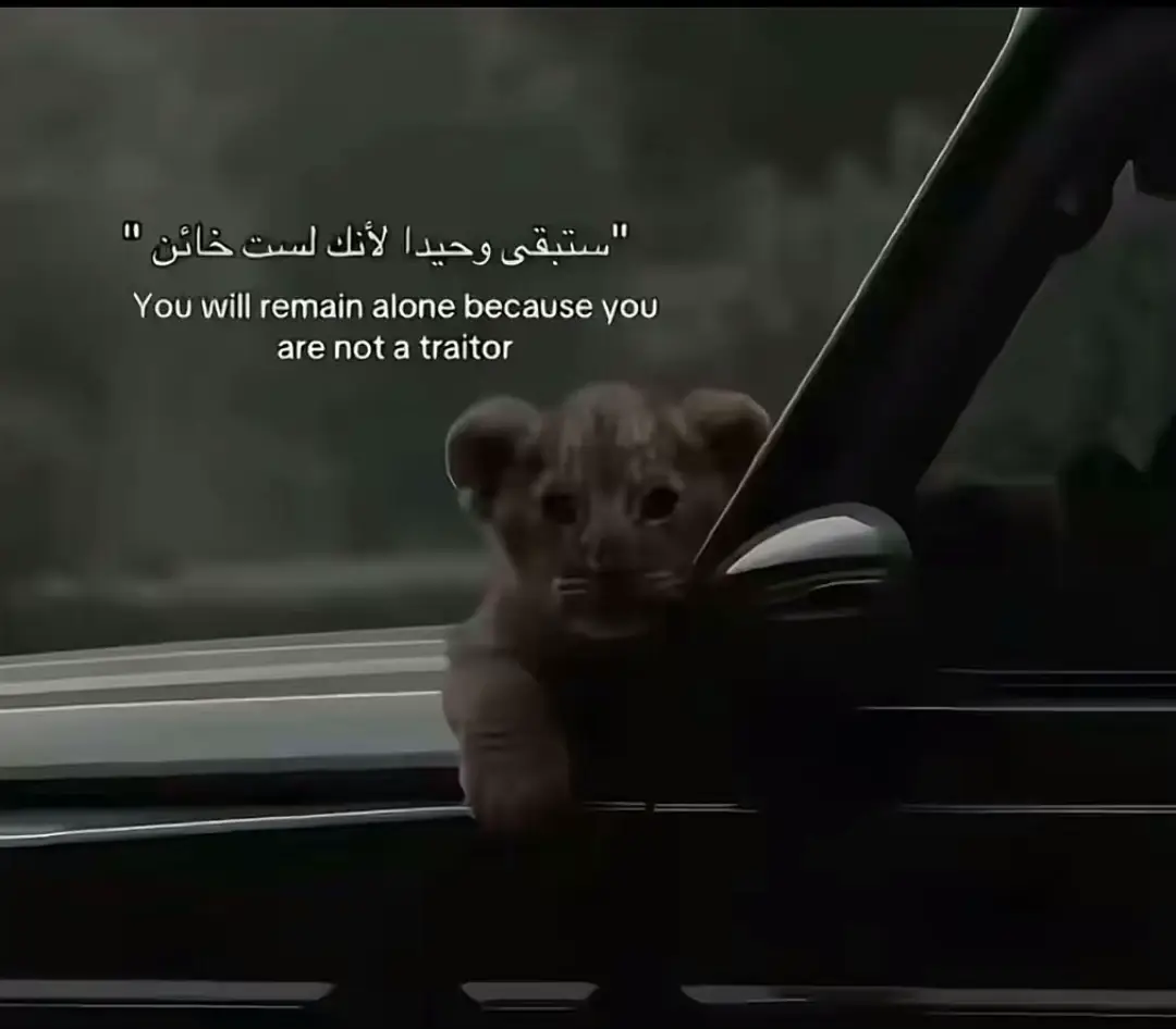 #ببجي #اكسبلور #fyp #swely🇸🇾 