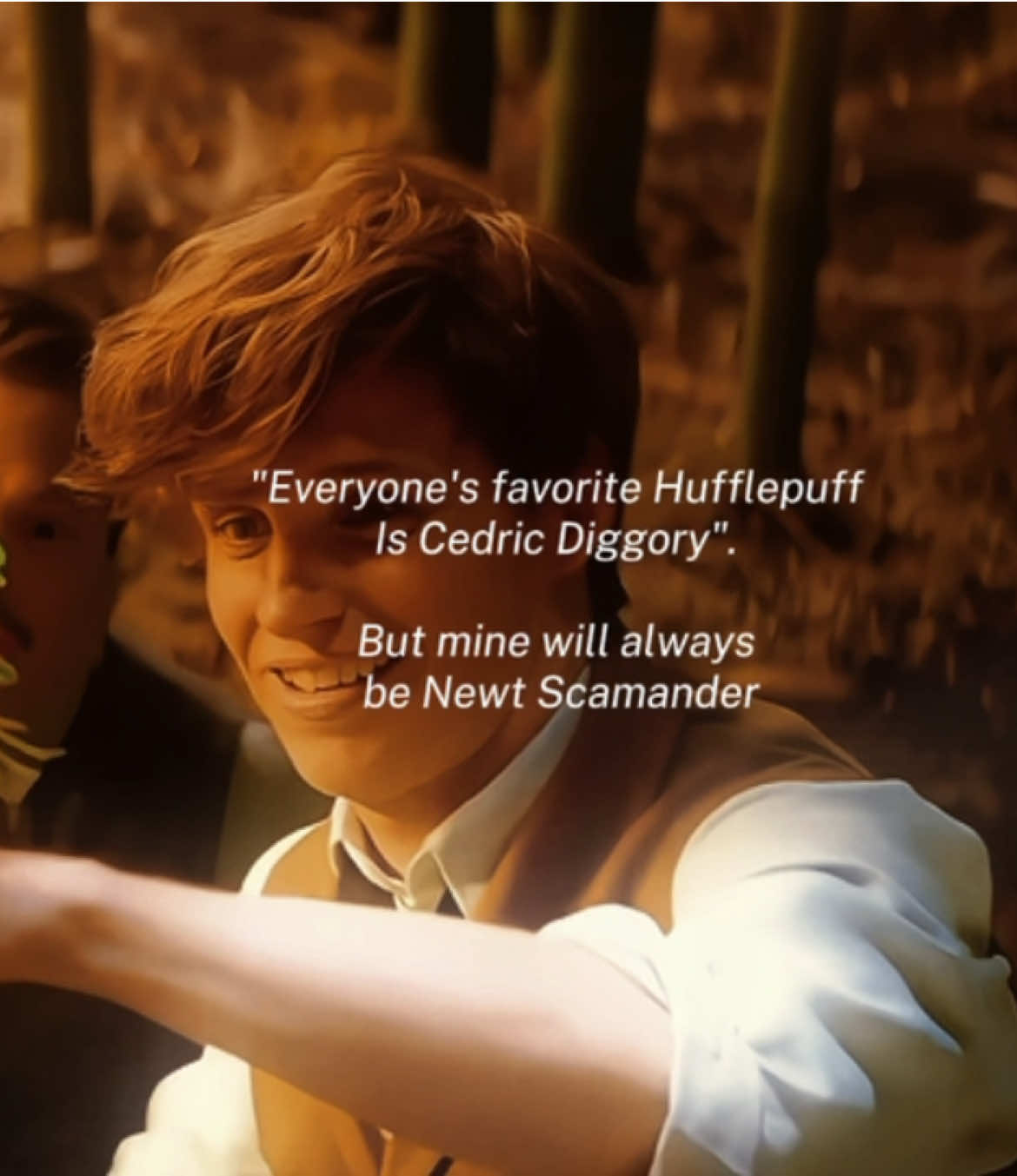 #newtscamander | I like Cedric, but I will always love NEWT! #newtscamanderedit #fantasticbeasts #edit #fyp 