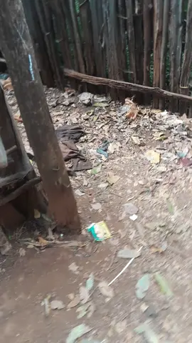 #creatorsearchinsights 