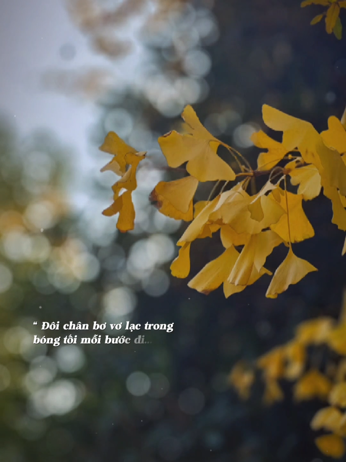 Dẫu có tiếc nuối tháng năm qua đi... #nhachaymoingay #Bkmuzic 