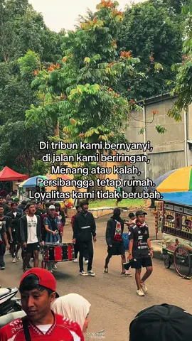 #purbalingga #persibanggapurbalingga #persibanggafans #bralingcurvanord #fypシ゚ 