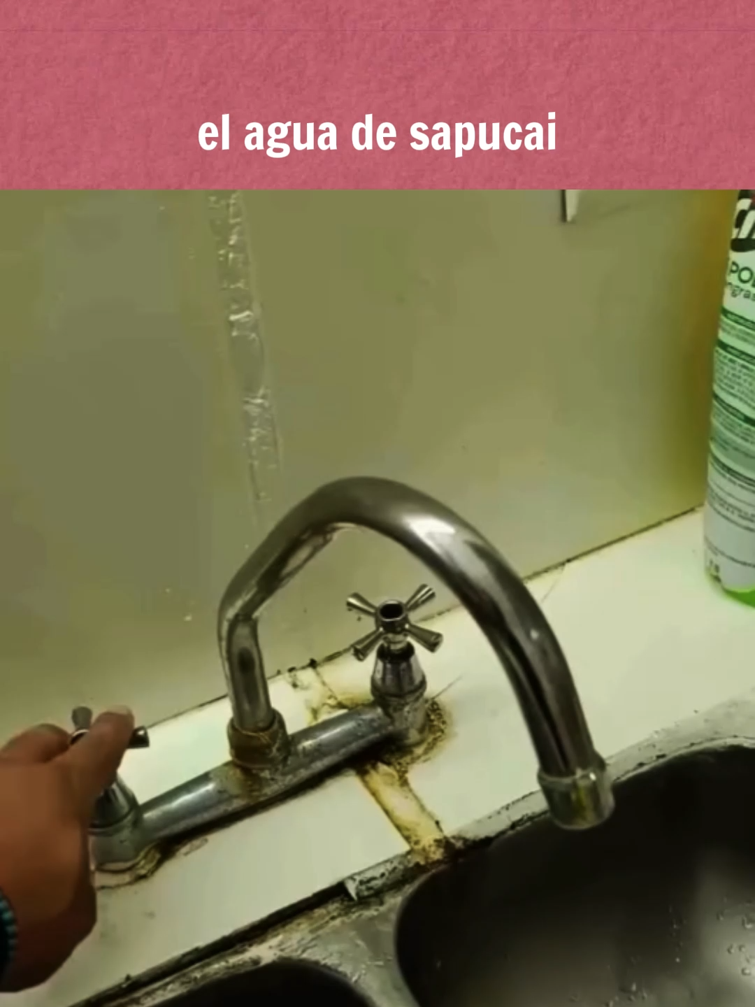 nunca esperé escuchar al agua haciendo un sapucai a