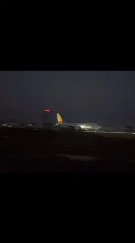 #creatorsearchinsights #viralvideo #viralsound #ethiopian_tik_tok🇪🇹🇪🇹🇪🇹🇪🇹 #oromotiktok❤️💚❤️ethiopiantiktok 