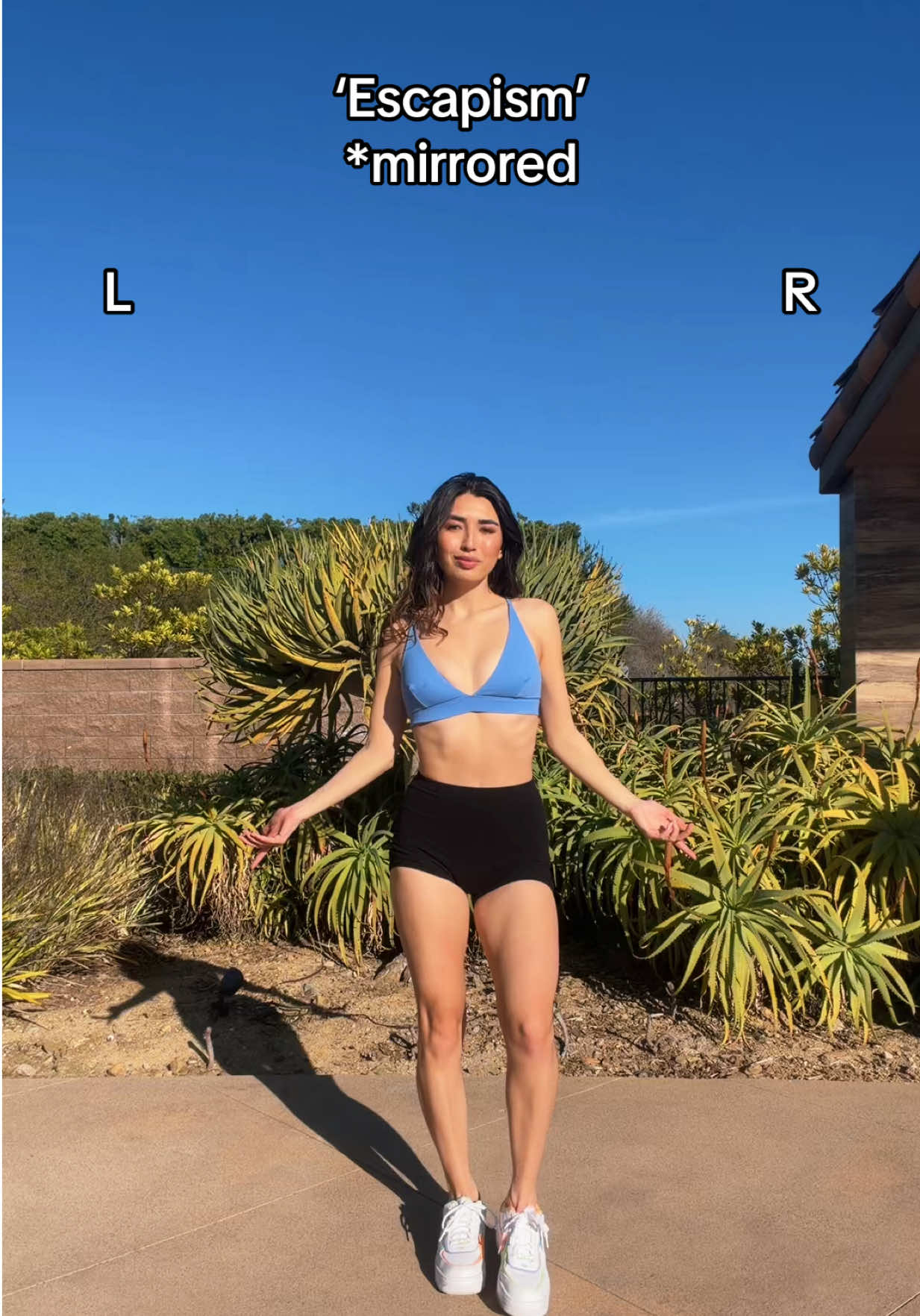 Escapism mirrored dance tutorial #stepbysteptutorial #mirroredtutorial #escapism #trendingdance #dancetutorial 