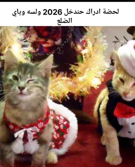 عمي الضلع 😝😝#ضلعي #امداكم #Dexter #شمالكم 