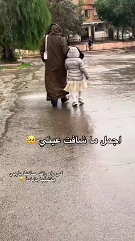 يقول ملتقط فيديو: أجمل ما شافت عيني، كي راه رافد صاكها ياربي يخليلها باباها ❤🥹