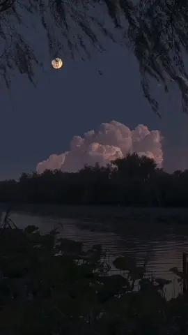 القارئ إدريس أبكر  #ادريس_ابكر #قرأن_كريم #قرآن #quran  #تلاوة 