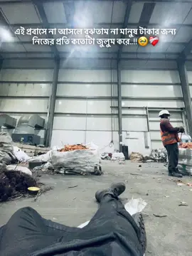 এই প্রবাসে না আসলে বুঝতাম না মানুষ টাকার জন্য নিজের প্রতি কতোটা জুলুম করে..!!🥹❤️‍🩹 #fffffffffffyyyyyyyyyyypppppppppppp #omoralwaysonfire #কুমিল্লার_ছেলে⚡😎 #mdxjobaer 