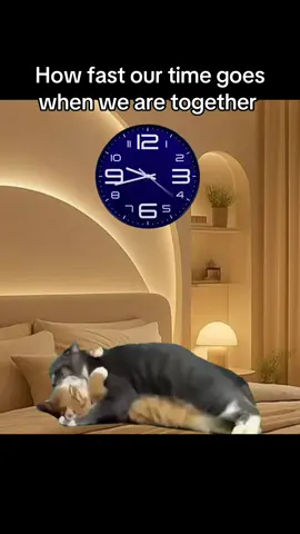 Relatable? #relatable #couple #gf #bf #viral 