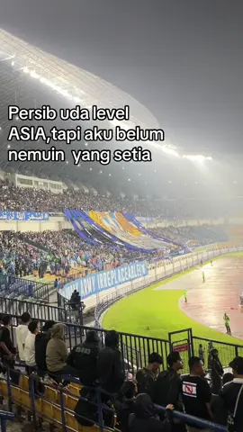 #bobotoh #fypagee #persib 