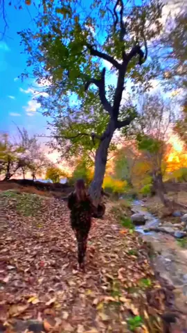 #zaxo_duhok_hewler_slemani_hawler 