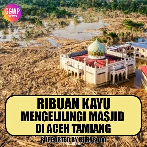 Luar biasa! Beginilah kondisi Masjid Pondok Pesantren Darul Mukhlishin setelah banjir bandang melanda Desa Tanjung Karang, Aceh Tamiang. Meski diterjang derasnya arus, ribuan batang kayu yang berukuran besar, masjid ini tetap berdiri kokoh. Sudah seminggu berlalu, tapi akses menuju desa masih sulit karena tebalnya lumpur. #banjiraceh #banjirpadang #masjid #ponpesdarulmukhlishin #ruby8000 