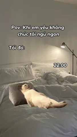 Có thể là mất ngủ luôn #healing_0607 #xh #mèo #Love 