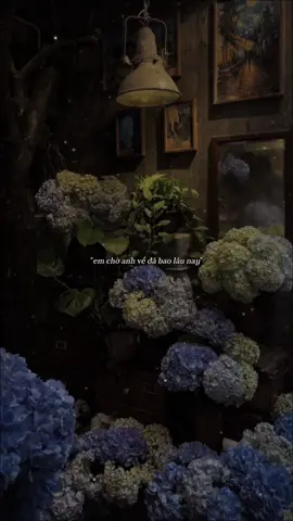 Part 79: em chờ anh về đã bao lâu nay #CapCut #nhacgicungchill #maucapcut #choanhve #bray 