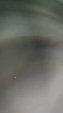 #xuhuongtiktok2025 #kiyeucuoicap  #thptdaimo 