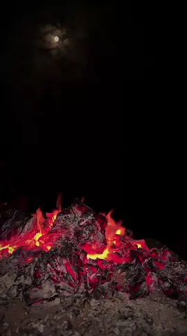 ليت قلبي قد عاصاني. 🖤. (!                            #فليح🍿 #npr1🌚 