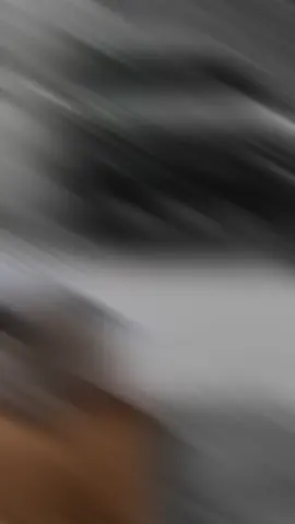 #فرقة_سالم_مصبح_المقبالي_متغير_الجو_والدنيا_ضجيج_وصوت_غرام_شلات_حربيه@فرقة سالم مصبح 