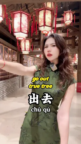 #learnchinese #mandarin #chinese #learnmandarin #fyp        