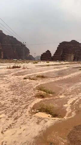 سيول جنوب بجده اليوم #تبوك #السعودية #امطار 
