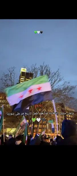 نعم اجمل تاريخ_💚🥹 #سوريا_الخضراء💚 #ثورجية #keşfet #fypシ゚viral #سوريا 