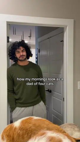 I love waking up with my kitties every day🤎