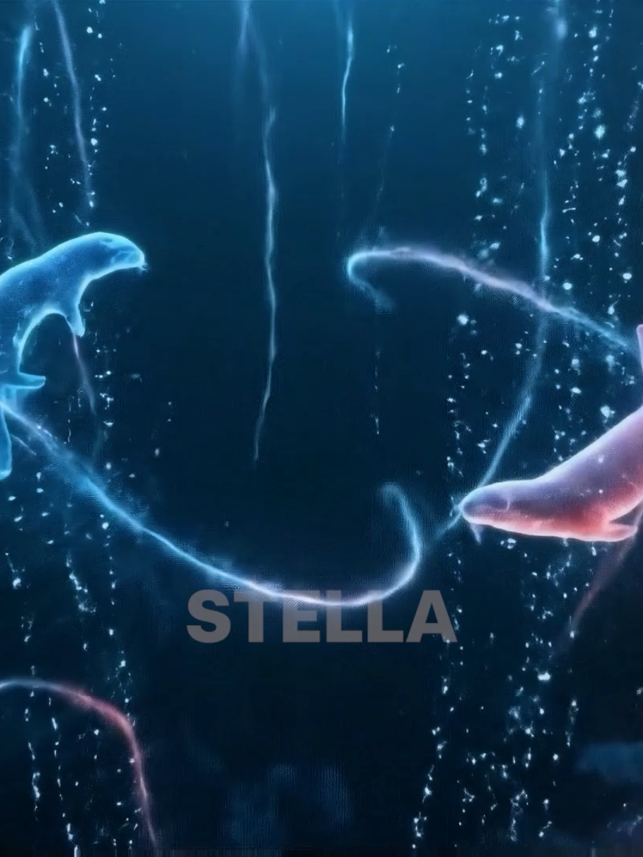 Partie 45 | Pourquoi ton meilleur ami se moque tout le temps de toi 🤡. C'est le 