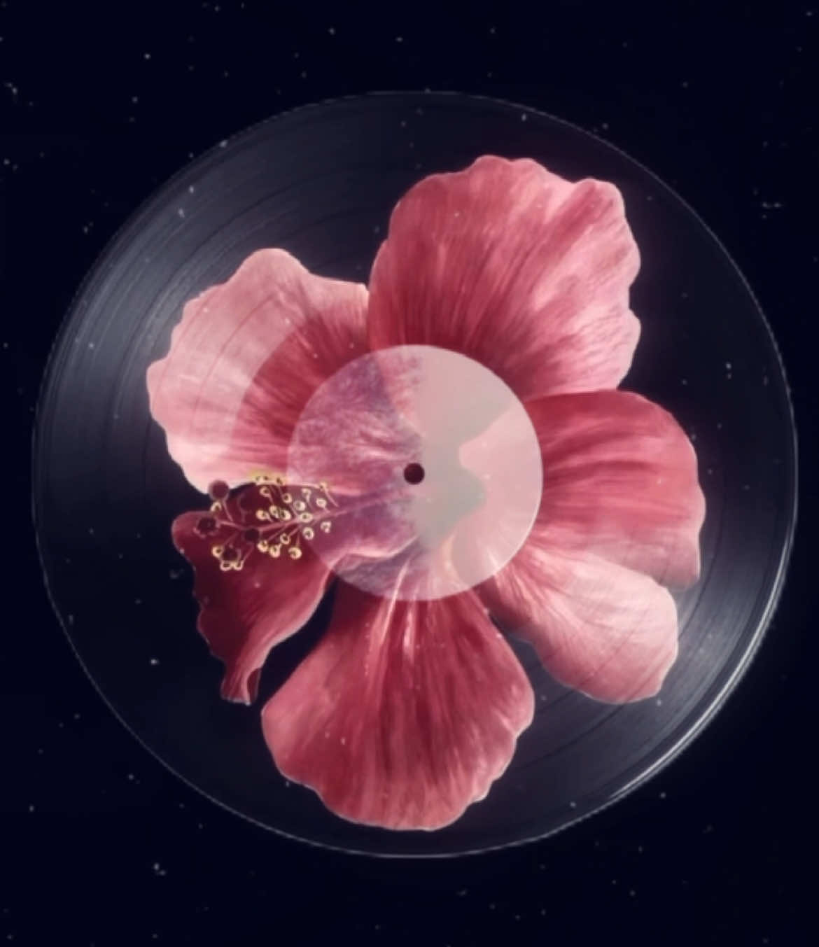 Просто видео,но песня - шедевр. #foryou #globalwarming #fypシ゚viral #wlw #би 