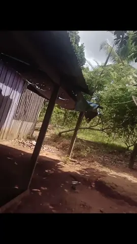 #aro20 #viral #foryou #fyppppppppppppppppppppppp #trend solta o bitezinho