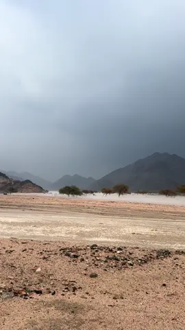 #اكسبلور #امطاراليوم 