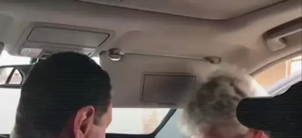 لونا الشبل تشعر بالاشمئزاز بسبب قيام جندي بإدخال راسه لداخل السيارة ليقبل يد بشار الأسد