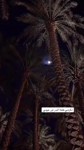 الرياض